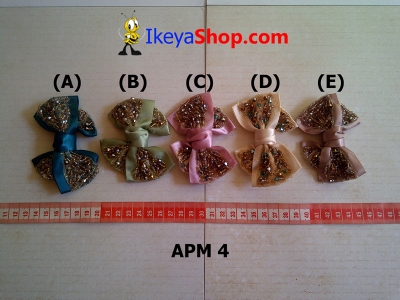 APM 4  large2